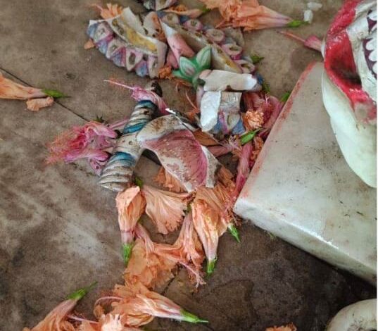 *आस्था पर प्रहार: भगवान गणेश की प्रतिमा की खंडित और बजरंग बली की आंख चुरा कर भागे, ग्रामीणों ने की सख्त कार्यवाही की मांग*