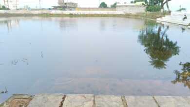 🌿 स्वच्छता दूत हर्ष छाबरिया ने बदली ब्रह्मचारी तालाब की तस्वीर — जनसहयोग से गंदगी मुक्त हुआ पुराना गौरेला का सरोवर