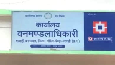 मरवाही वनमंडल में भ्रष्टाचार का खुलासा! रेंजर का वायरल ऑडियो “मैं तो लाखों रुपये देकर आया हूं”