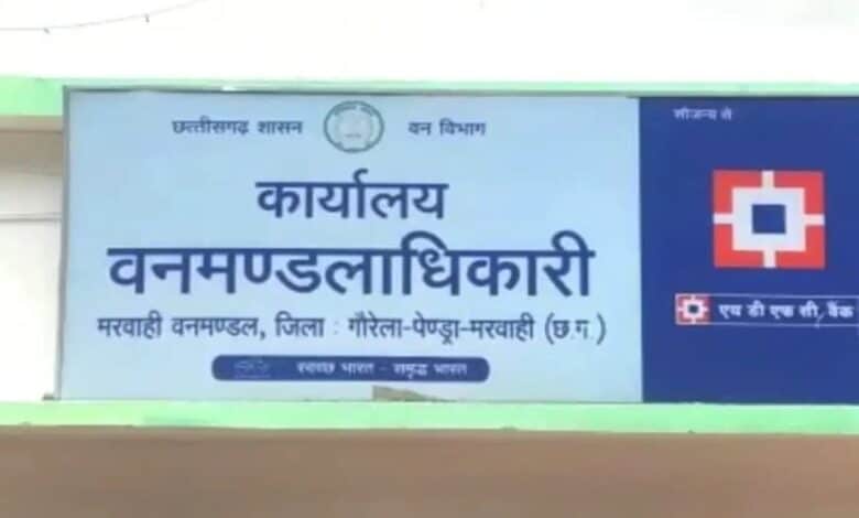 मरवाही वनमंडल में भ्रष्टाचार का खुलासा! रेंजर का वायरल ऑडियो “मैं तो लाखों रुपये देकर आया हूं” मरवाही वनमंडल में भ्रष्टाचार का खुलासा! रेंजर का वायरल ऑडियो “मैं तो लाखों रुपये देकर आया हूं”