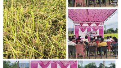 जोगीसार में महिंद्रा एग्री सोल्यूशन लिमिटेड द्वारा फसल प्रदर्शन एवं किसान संगोष्ठी संपन्न — किसानों को मिली उन्नत बीज किस्मों और आधुनिक खेती तकनीक की जानकारी