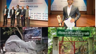 अवॉर्ड की आड़ में घोटाले के पक्के निशान? RTI पर गोंडवाना फॉसिल पार्क के DFO की चुप्पी