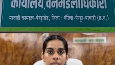 *पत्नी के नाम ठेका, रेंजर का संरक्षण, डीएफओ की ढाल मरवाही वनमंडल में करोड़ों का खेल*