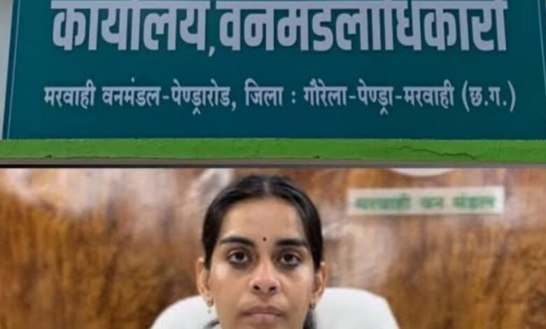 *पत्नी के नाम ठेका, रेंजर का संरक्षण, डीएफओ की ढाल मरवाही वनमंडल में करोड़ों का खेल*