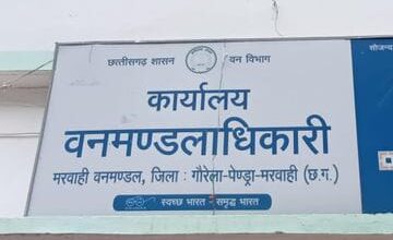 वन विभाग की चुप्पी के बीच वनरक्षक की भूमिका संदिग्ध,उच्च अधिकारियो की मिलीभगत से मरवाही मे कट रहे जंगल