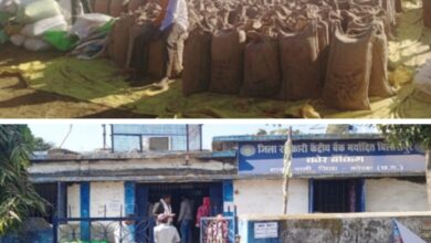 *पारदर्शी और डिजिटल धान खरीदी व्यवस्था के साथ किसानों को बैंक से हो रहा सुलभ भुगतान, धान बेचने न पर्ची की दिक्कत- बैंक में न लंबी कतार की टेंशन, ऋण वसूली को लेकर सहकारी बैंक शाखा पाली जिले में दूसरे स्थान पर*