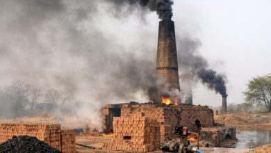 बैकुंठपुर जनपद क़े ग्राम जमगहना–खांडा में खुलेआम अवैध ईंट भट्ठों का कारोबार, पर्यावरण और सरकारी राजस्व दोनों को भारी नुकसान बैकुंठपुर जनपद क़े ग्राम जमगहना–खांडा में खुलेआम अवैध ईंट भट्ठों का कारोबार, पर्यावरण और सरकारी राजस्व दोनों को भारी नुकसान