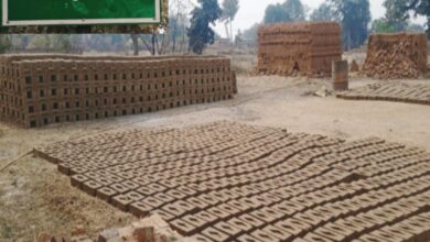 *चोरी के कोयले और अवैध ईंट भट्ठे राजस्व को लगा रहे चूना, नानपुलाली में घर- घर ईंट निर्माण और चल रहा बिक्री कार्य, कानून का उल्लंघन और पर्यावरण को पहुँचा रहे भारी नुकसान*