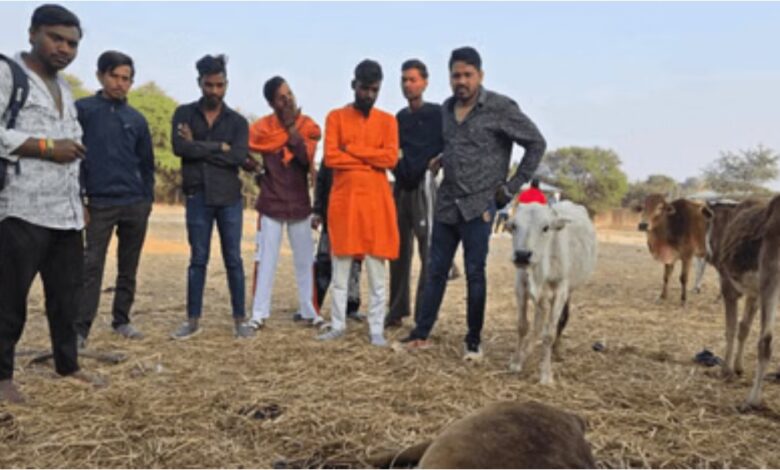 *प्रशासन की लापरवाही, गाय और एक बछड़े की मौत हो जाने से गौसेवकों में भारी नाराजगी*