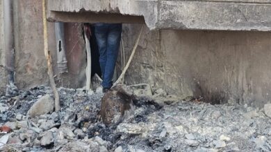 *न्यू कंपोजिट बिल्डिंग के पीछे कचरे के ढेर में लगी आग, तत्काल पाया गया काबू*