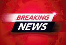 मरवाही वनमंडल में बड़ी प्रशासनिक कार्रवाई: विवादित प्रभारी रेंजर प्रबल दुबे हटाए गए,ज्योत्स्ना पांडे बनीं नई परिक्षेत्र अधिकारी गौरैला