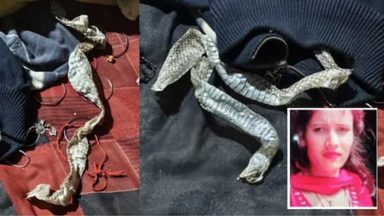 *युवती से बनी इच्छाधारी नागिन के पीछे ये है सच्चाई, वीडियो में कह रही- जिससे प्रेम था उसे…*