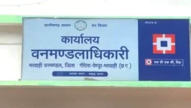 जंगल कट रहे, अधिकारी सो रहे!मरवाही वनमंडल में माफियाओं का कहर, DFO मूकदर्शक — अवैध कटाई जोरों पर