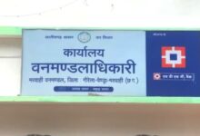 मरवाही वनमंडल में ‘संरक्षण या सौदेबाजी’? दागी कर्मियों को मलाईदार पोस्टिंग, कार्रवाई क्यों नहीं—DFO पर उठे बड़े सवाल