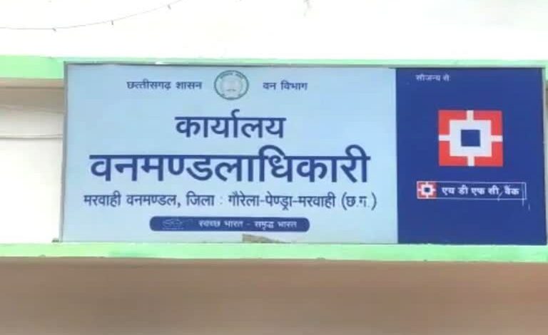 मरवाही वनमंडल में ‘संरक्षण या सौदेबाजी’? दागी कर्मियों को मलाईदार पोस्टिंग, कार्रवाई क्यों नहीं—DFO पर उठे बड़े सवाल