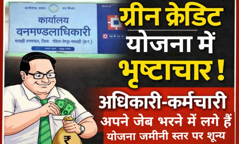 मरवाही वनमंडल: ग्रीन क्रेडिट योजना चढ़ी भ्रष्टाचार की भेंट, सिंचाई व्यवस्था बिना रोपण—70% पौधे सूखने की कगार पर, पथरीली जमीन कागजों में बनी “सिंचित प्लांटेशन”