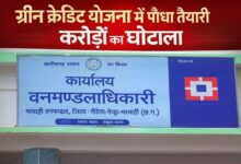 ग्रीन क्रेडिट योजना में 1.80 करोड़ के पौधा तैयारी घोटाले का आरोप, मरवाही वनमंडल में 3 लाख पौधों की फर्जी तैयारी दिखाकर निकाली राशि