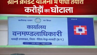ग्रीन क्रेडिट योजना में 1.80 करोड़ के पौधा तैयारी घोटाले का आरोप, मरवाही वनमंडल में 3 लाख पौधों की फर्जी तैयारी दिखाकर निकाली राशि