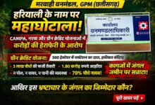 मरवाही वनमंडल में ‘हरियाली’ के नाम पर महाघोटाला: CAMPA, नरवा और ग्रीन क्रेडिट योजनाओं में करोड़ों की हेराफेरी
