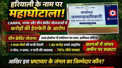 मरवाही वनमंडल में ‘हरियाली’ के नाम पर महाघोटाला: CAMPA, नरवा और ग्रीन क्रेडिट योजनाओं में करोड़ों की हेराफेरी