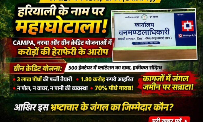 मरवाही वनमंडल में ‘हरियाली’ के नाम पर महाघोटाला: CAMPA, नरवा और ग्रीन क्रेडिट योजनाओं में करोड़ों की हेराफेरी