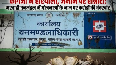 “कागजों में हरियाली, जमीन पर सन्नाटा: मरवाही वनमंडल में योजनाओं के नाम पर करोड़ों की बंदरबांट” “कागजों में हरियाली, जमीन पर सन्नाटा: मरवाही वनमंडल में योजनाओं के नाम पर करोड़ों की बंदरबांट”