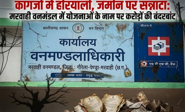 “कागजों में हरियाली, जमीन पर सन्नाटा: मरवाही वनमंडल में योजनाओं के नाम पर करोड़ों की बंदरबांट”