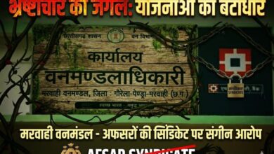 “मरवाही वनमंडल बना भ्रष्टाचार का ‘सुपर हब’: तत्कालीन DFO रौनक गोयल, वर्तमान DFO गृष्मी चांद, मुख्य लिपिक शैल गुप्ता, कैम्पा शाखा प्रभारी भूपेंद्र साहू तक अफसरों पर संगीन आरोप, योजनाएं कागजों में दफन!”