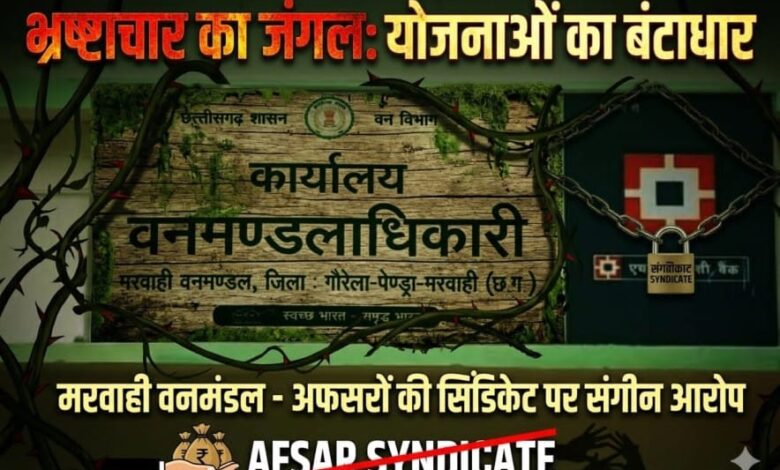 “मरवाही वनमंडल बना भ्रष्टाचार का ‘सुपर हब’: तत्कालीन DFO रौनक गोयल, वर्तमान DFO गृष्मी चांद, मुख्य लिपिक शैल गुप्ता, कैम्पा शाखा प्रभारी भूपेंद्र साहू तक अफसरों पर संगीन आरोप, योजनाएं कागजों में दफन!”