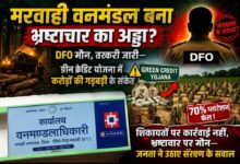 मरवाही वनमंडल बना भ्रष्टाचार का अड्डा? DFO मौन, तस्करी जारी—ग्रीन क्रेडिट योजना में करोड़ों की गड़बड़ी के संकेत मरवाही वनमंडल बना भ्रष्टाचार का अड्डा? DFO मौन, तस्करी जारी—ग्रीन क्रेडिट योजना में करोड़ों की गड़बड़ी के संकेत