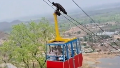 *बड़ा हादसा: सुप्रसिद्ध खल्लारी माता मंदिर के रोपवे का तार टूटा, 300 फीट नीचे गिरे श्रद्धालु, एक की मौत*