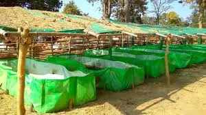 छत्तीसगढ़ में वर्मी बेड खरीदी में घोटाले का आरोप, कांग्रेस ने उच्चस्तरीय जांच की मांग की छत्तीसगढ़ में वर्मी बेड खरीदी में घोटाले का आरोप, कांग्रेस ने उच्चस्तरीय जांच की मांग की