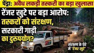 “पेंड्रा वन परिक्षेत्र में लकड़ी तस्करी का बड़ा खेल! रेंजर खुटे पर संरक्षण के गंभीर आरोप, शासकीय संसाधनों के दुरुपयोग से मचा हड़कंप” “पेंड्रा वन परिक्षेत्र में लकड़ी तस्करी का बड़ा खेल! रेंजर खुटे पर संरक्षण के गंभीर आरोप, शासकीय संसाधनों के दुरुपयोग से मचा हड़कंप”