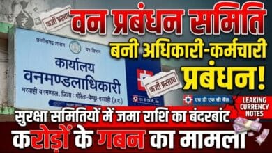 वन प्रबंधन समिति बना अधिकारी-कर्मचारी प्रबंधन! सुरक्षा की समितियों में जमा राशि का बंदरबांट, फर्जी प्रस्ताव बना समिति सचिव व शाखा प्रभारी पर करोड़ों के गबन का आरोप
