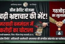ग्रीन क्रेडिट योजना चढ़ी भ्रष्टाचार की भेंट! मरवाही वनमंडल मे अधिकारी–कर्मचारी–सप्लायर गठजोड़ से संगठित करोड़ों का घोटाला