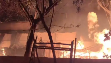 फाफाडीह टिंबर मार्केट में भीषण आग: 12+ दमकल गाड़ियां मौके पर, पूरी रात चला राहत अभियान