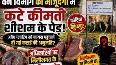 वन विभाग की मौजूदगी में कटे कीमती शीशम के पेड़! अवैध प्लाटिंग को फायदा पहुंचाने दी गई कटाई की अनुमति?, अधिकारियों पर मिलीभगत के गंभीर आरोप