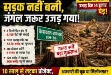 केशकाल बायपास बना “ग्रीन स्कैम” का प्रतीक: सड़क से पहले उजड़ गया जंगल, गलत सर्वे ने निगल लिए 14 हजार पेड़!