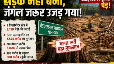 केशकाल बायपास बना “ग्रीन स्कैम” का प्रतीक: सड़क से पहले उजड़ गया जंगल, गलत सर्वे ने निगल लिए 14 हजार पेड़!