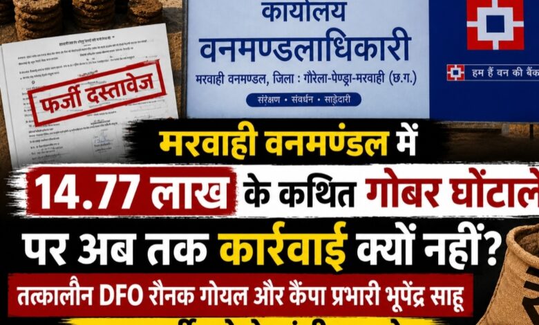 मरवाही वनमंडल में 14.77 लाख के कथित गोबर घोटाले पर अब तक कार्रवाई क्यों नहीं? तत्कालीन DFO रौनक गोयल और कैंपा प्रभारी भूपेंद्र साहू पर फर्जीवाड़े के गंभीर आरोप