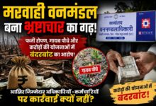 मरवाही वनमंडल बना भ्रष्टाचार का गढ़! फर्जी रोपण, गायब पौधे और करोड़ों की योजनाओं में बंदरबांट का आरोप, आखिर जिम्मेदार अधिकारियों-कर्मचारियों पर कार्रवाई क्यों नहीं?