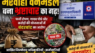 मरवाही वनमंडल बना भ्रष्टाचार का गढ़! फर्जी रोपण, गायब पौधे और करोड़ों की योजनाओं में बंदरबांट का आरोप, आखिर जिम्मेदार अधिकारियों-कर्मचारियों पर कार्रवाई क्यों नहीं?