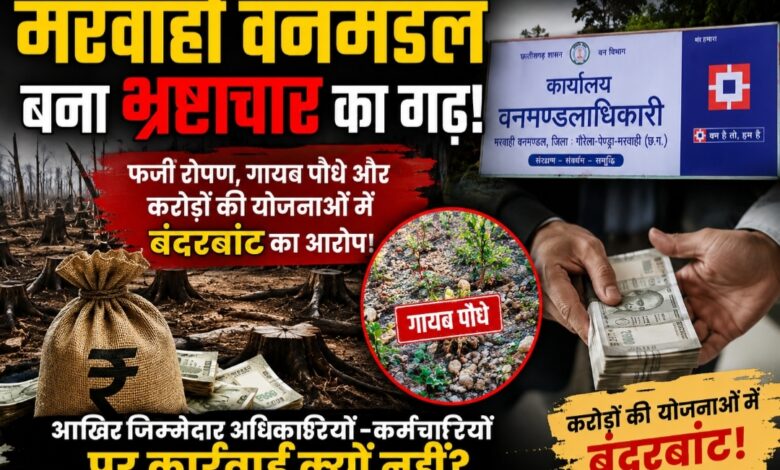 मरवाही वनमंडल बना भ्रष्टाचार का गढ़! फर्जी रोपण, गायब पौधे और करोड़ों की योजनाओं में बंदरबांट का आरोप, आखिर जिम्मेदार अधिकारियों-कर्मचारियों पर कार्रवाई क्यों नहीं?