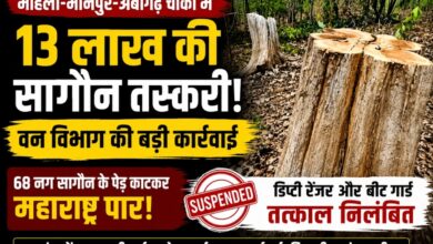 वन विभाग की बड़ी कार्रवाई: 13 लाख की सागौन तस्करी मामले में डिप्टी रेंजर और बीट गार्ड निलंबित