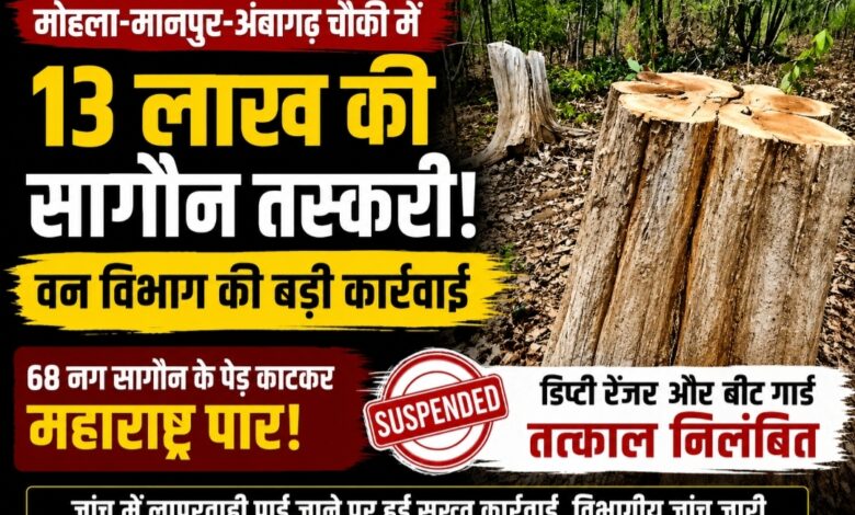 वन विभाग की बड़ी कार्रवाई: 13 लाख की सागौन तस्करी मामले में डिप्टी रेंजर और बीट गार्ड निलंबित