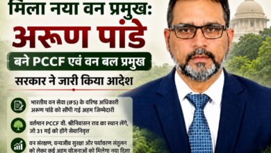 छत्तीसगढ़ को मिला नया वन प्रमुख: अरूण पांडे बने PCCF एवं वन बल प्रमुख, सरकार ने जारी किया आदेश