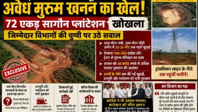 खेड़ा डंगनिया में वनभूमि पर अवैध मुरूम खनन का खेल! 72 एकड़ सागौन प्लांटेशन खोखला, जिम्मेदार विभागों की चुप्पी पर उठे सवाल