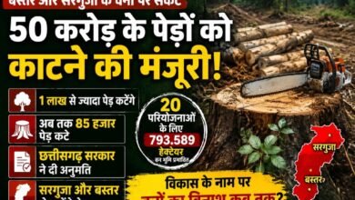 छत्तीसगढ़ में विकास बनाम जंगल! सरगुजा-बस्तर के 1.10 लाख पेड़ों की कटाई को मंजूरी, 85 हजार से ज्यादा पेड़ पहले ही धराशायी