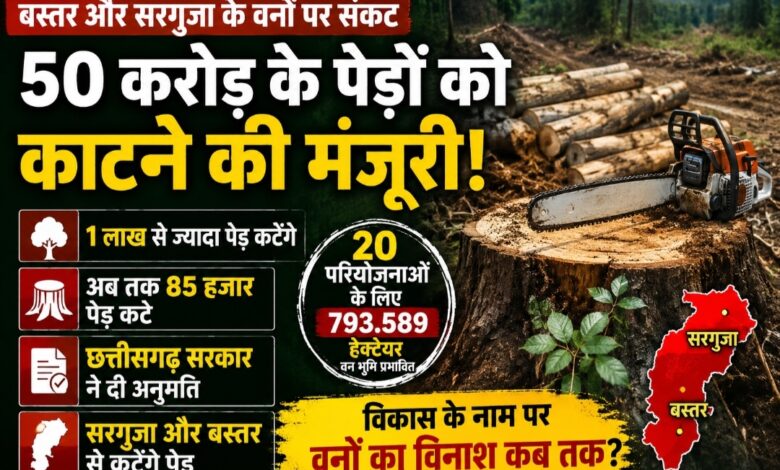 छत्तीसगढ़ में विकास बनाम जंगल! सरगुजा-बस्तर के 1.10 लाख पेड़ों की कटाई को मंजूरी, 85 हजार से ज्यादा पेड़ पहले ही धराशायी
