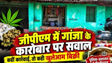 जीपीएम में गांजे के कारोबार पर सवाल: कहीं कार्रवाई, तो कहीं खुलेआम बिक्री के आरोप; आखिर किसके संरक्षण में चल रहा अवैध धंधा?